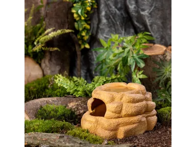 Big Rock S, kryjówka dla gadów z miską 11x13x8cm Exo Terra 69,99 zł