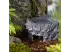 Wilgotna jaskinia ceramiczna ROGOWA Wet Rock S Exo Terra 39,99 zł