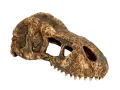 Czaszka tyranozaura mała T-REX SKULL Exo Terra 39,99 zł