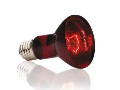 Czerwona żarówka grzewcza Infrared Basking Spot 75W Exo Terra 49,99 zł