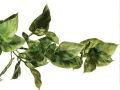 Roślina sztuczna do terrarium Amapallo Small Exo Terra 24,99 zł