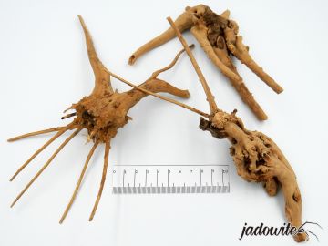 Korzeń japoński Red Moor Wood 20-30cm 15,00 zł