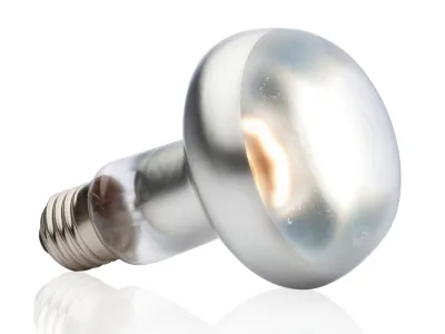 Żarówka grzewcza Intense Basking Spot 100W Exo Terra 45,00 zł