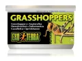 Pokarm w puszce - szarańcza 34g Exo Terra 21,99 zł