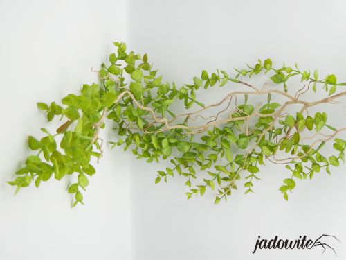 Eukaliptus wiszący - sztuczna roślina XL 80cm 35,00 zł