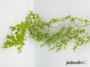 Eukaliptus wiszący - sztuczna roślina XL 80cm 35,00 zł
