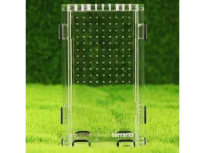 Terrarium akrylowe dla modliszki, skakuna 8x9x15cm Terrario 79,99 zł