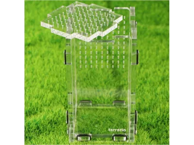 Terrarium akrylowe dla modliszki, skakuna 8x9x15cm Terrario 79,99 zł