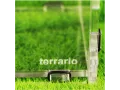 Terrarium akrylowe dla modliszki, skakuna 8x9x15cm Terrario 79,99 zł