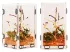 Terrarium akrylowe dla modliszki, skakuna 8x9x15cm Terrario 79,99 zł