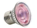 Żarówka stymulująca wzrost roślin Daylight LED Spot NANO 5W Exo Terra 54,99 zł