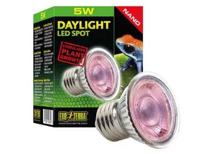 Żarówka stymulująca wzrost roślin Daylight LED Spot NANO 5W Exo Terra 54,99 zł