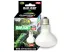 Żarówka grzewcza 75W UVA Daylight Reptile Nova 15,50 zł