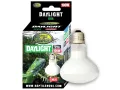 Żarówka grzewcza 100W UVA Daylight Reptile Nova 19,00 zł