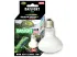 Żarówka grzewcza 100W UVA Daylight Reptile Nova 19,00 zł