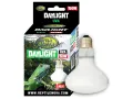 Żarówka grzewcza 150W UVA Daylight Reptile Nova 19,00 zł