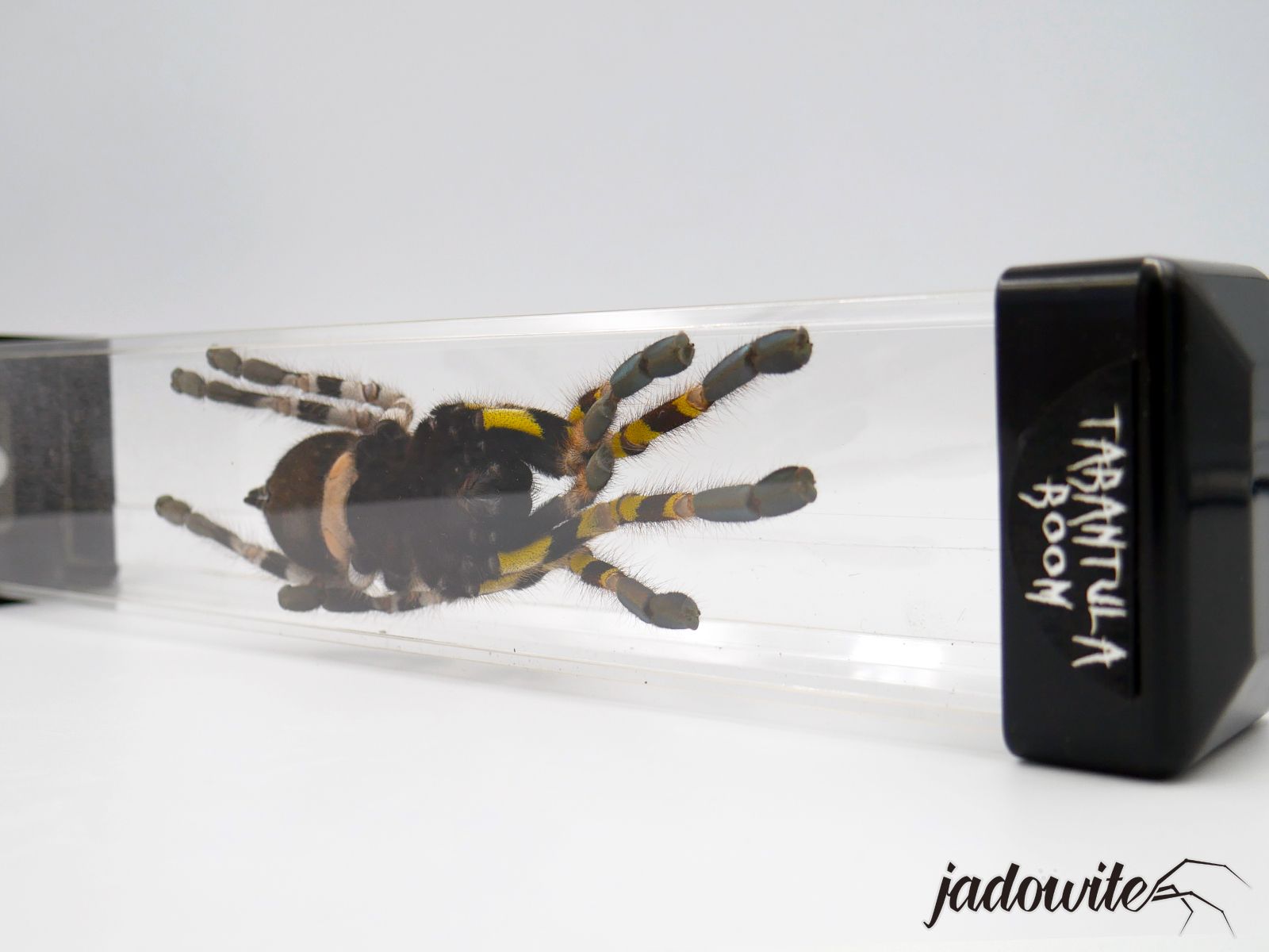 Tuba do przenoszenia i seksowania pająków - 6x4x30cm 29,00 zł