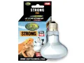 Żarówka grzewcza 75W UVA Strong Reptile Nova 15,50 zł