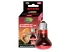Żarówka grzewcza czerwona 50W UVA Infrared Reptile Nova 25,00 zł