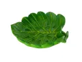 Miska do terrarium LIŚĆ 15x13,5x3,5cm Reptile Nova 35,00 zł