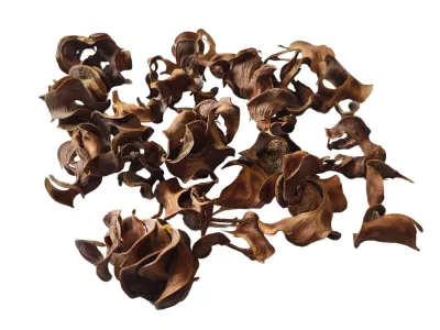 Curly Pods naturalny wystrój - 35g 8,00 zł