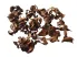 Curly Pods naturalny wystrój - 35g 8,00 zł