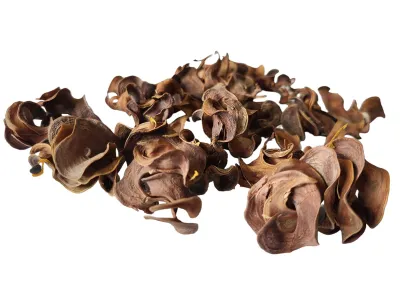 Curly Pods naturalny wystrój - 35g 8,00 zł