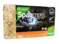Mech torfowiec Sphagnum Spagmoss Classic 100g 8L Besgrow 44,99 zł