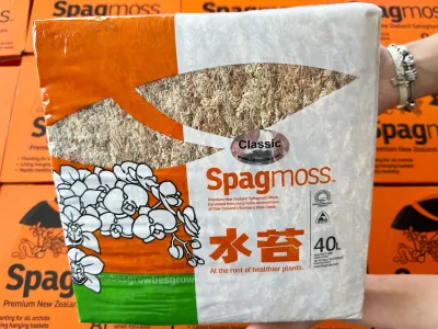 Mech torfowiec Sphagnum Spagmoss Classic 500g 40L Besgrow 189,99 zł