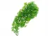 Roślina sztuczna do terrarium CANNABIS S 36cm ZooMed 25,00 zł