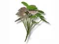 Roślina sztuczna do terrarium Pink Pilea 25cm 25,00 zł