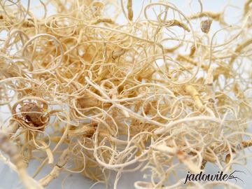 Małe korzenie bielone Curly Moss - 50g 10,00 zł