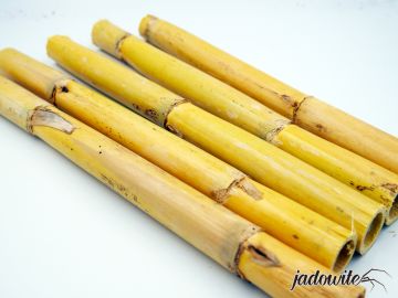 Bambus, tyczka bambusowa 30cm - 5szt 10,00 zł