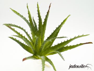 Aloes - sztuczna roślina XL 20cm 30,00 zł