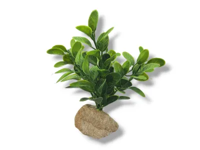 Roślina sztuczna na kamieniu StonePlant TYP 25 10,00 zł
