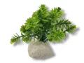 Roślina sztuczna na kamieniu StonePlant TYP 13 10,00 zł