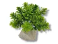 Roślina sztuczna na kamieniu StonePlant TYP 13 10,00 zł