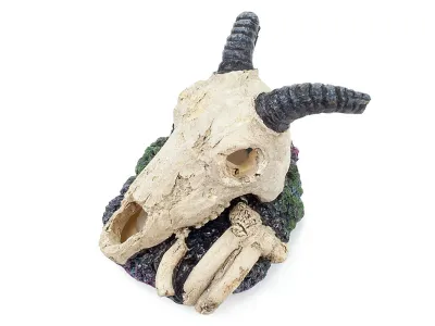 Czaszka antylopy ozdoba do terrarium / akwarium 9cm Happet 29,99 zł