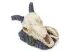 Czaszka antylopy ozdoba do terrarium / akwarium 9cm Happet 29,99 zł