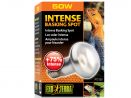 Żarówka grzewcza Intense Basking Spot 50W EXO TERRA EX-1351 34,99 zł