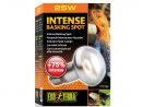 Żarówka grzewcza Intense Basking Spot 25W EXO TERRA 34,99 zł