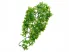Roślina sztuczna do terrarium CONGO IVY L 56cm ZooMed 49,00 zł