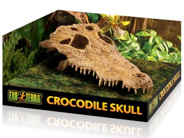 Czaszka krokodyla Crocodile Skull EXO TERRA EX-8565 57,99 zł