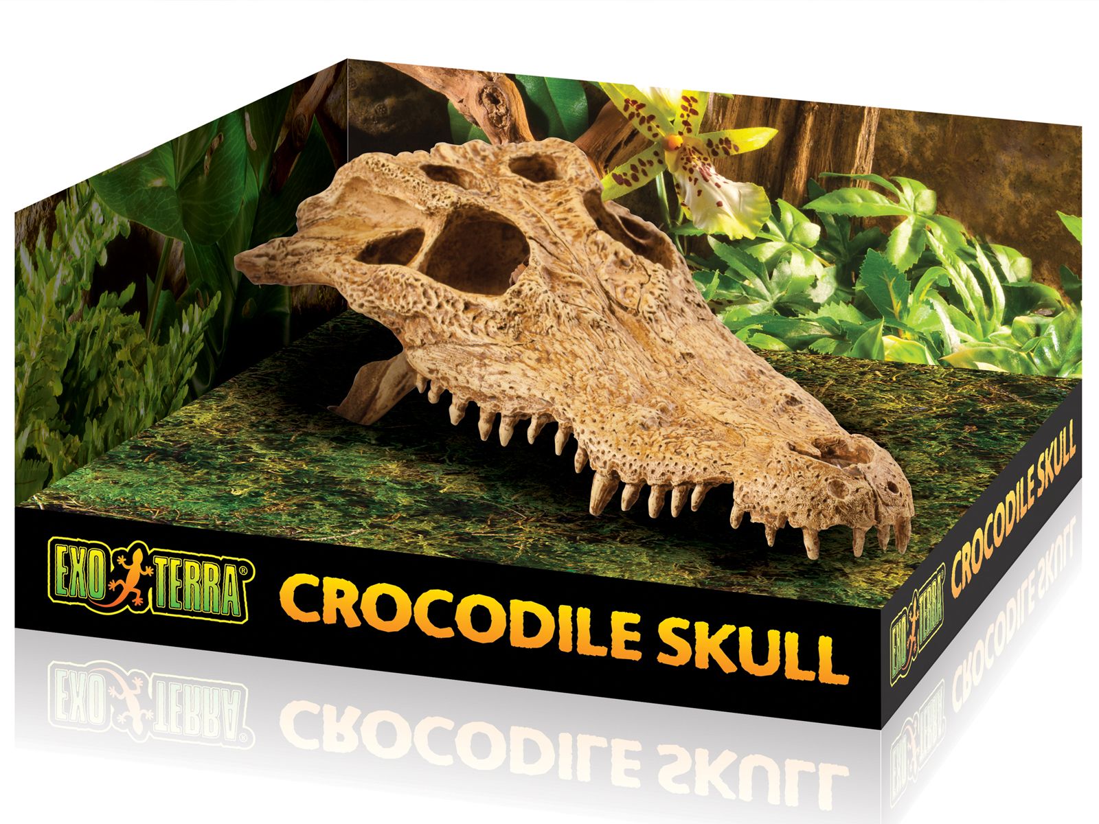 Czaszka krokodyla Crocodile Skull EXO TERRA 59,99 zł