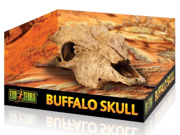 Czaszka bawoła Buffalo Skull EXO TERRA EX-8572 79,99 zł