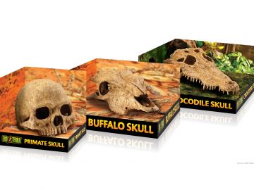 Czaszka bawoła Buffalo Skull EXO TERRA 74,95 zł