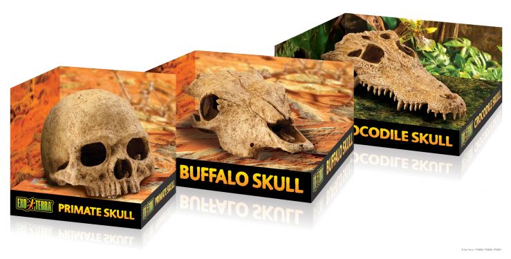 Czaszka małpy Primate Skull EXO TERRA 68,99 zł