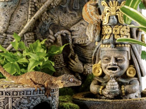 Wodospad Aztec Sacred Maize Waterfall18,5x25cm EXO TERRA 219,90 zł