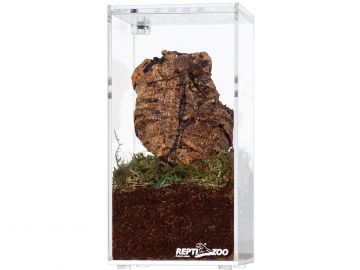 Terrarium akrylowe wysokie 7,5x7,5x15cm Repti-Zoo 59,99 zł