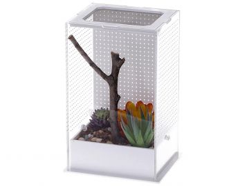 Terrarium akrylowe dla modliszki 12x10x20 Mantis Box L Repti-Zoo 109,99 zł